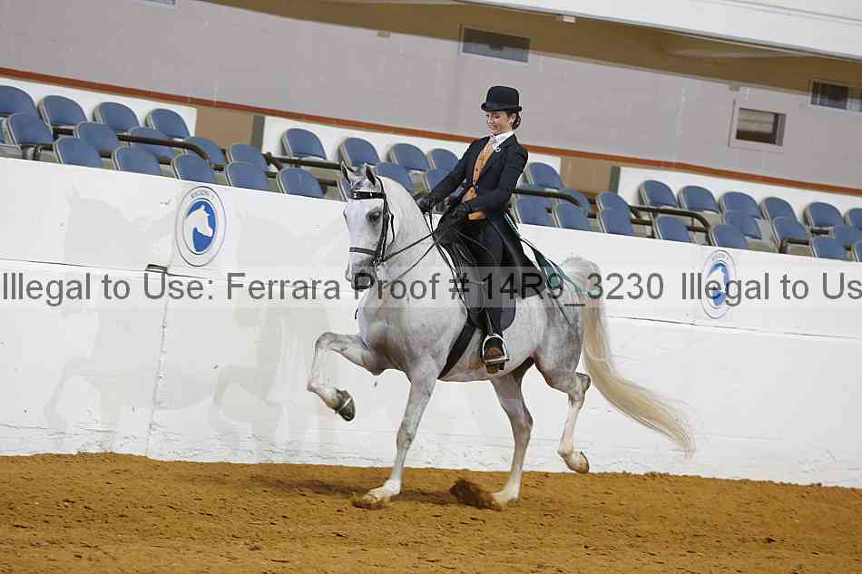 Proof 14r9_3230