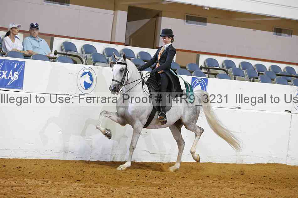 Proof 14r9_3231