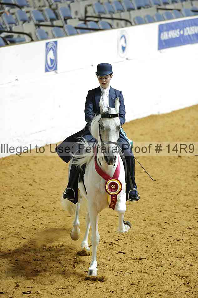Proof 14r9_3237