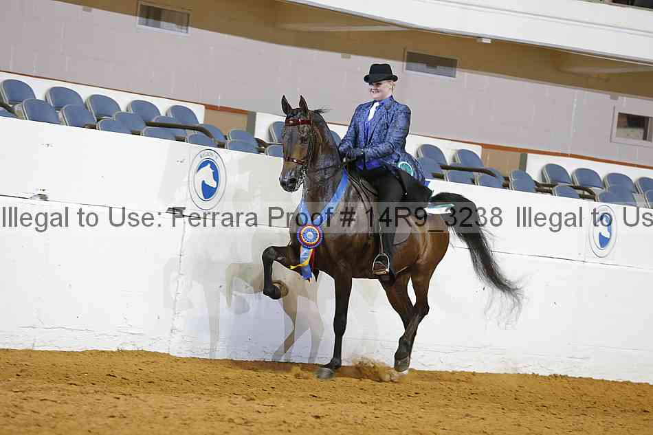 Proof 14r9_3238