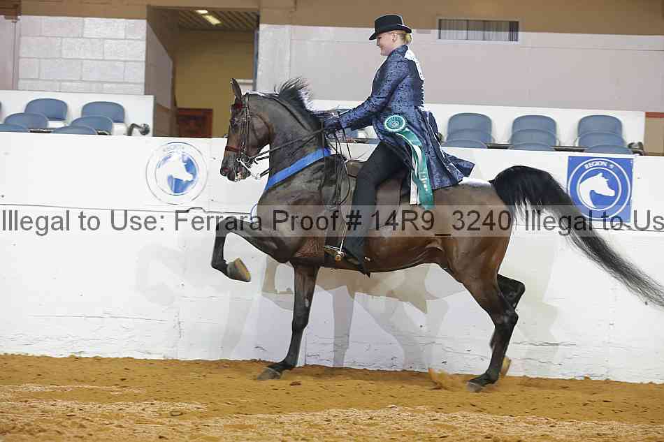 Proof 14r9_3240