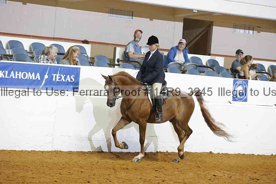 Proof 14r9_3245
