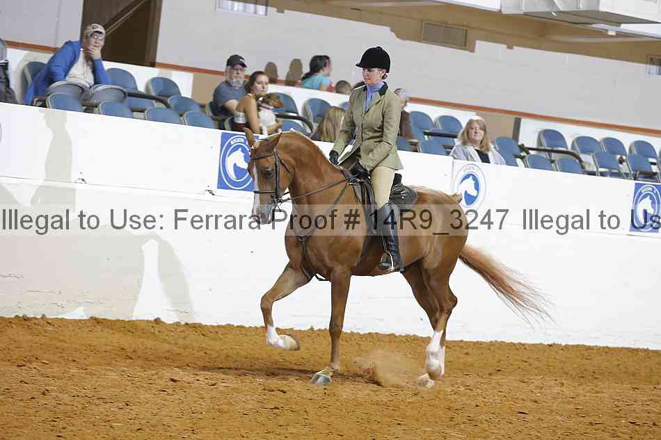 Proof 14r9_3247