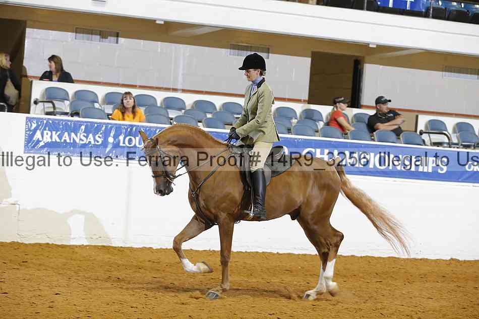 Proof 14r9_3256