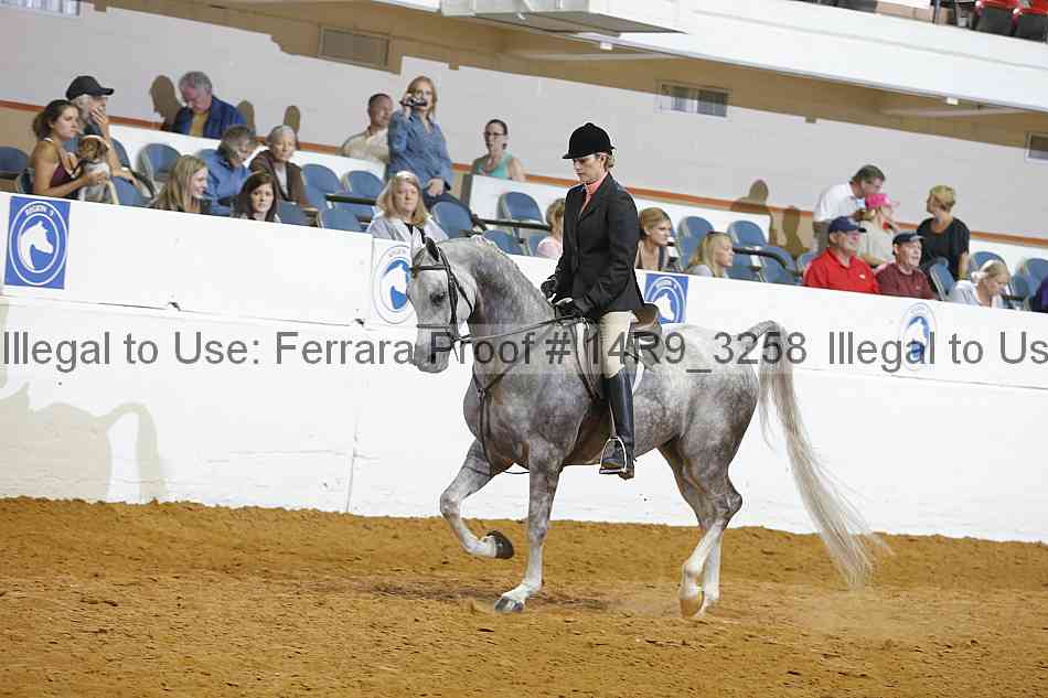 Proof 14r9_3258