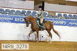 14r9_3278 proof