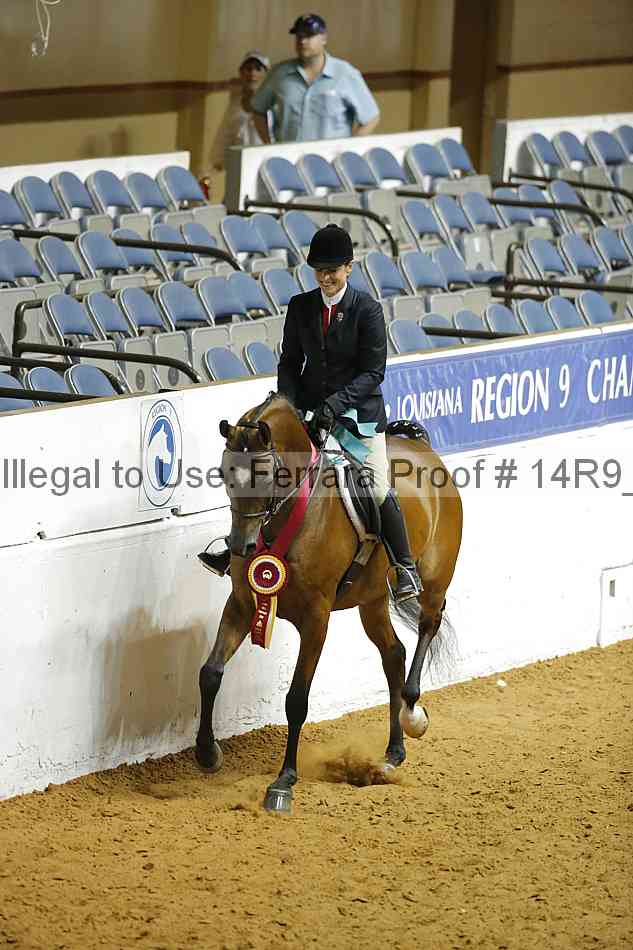 Proof 14r9_3289