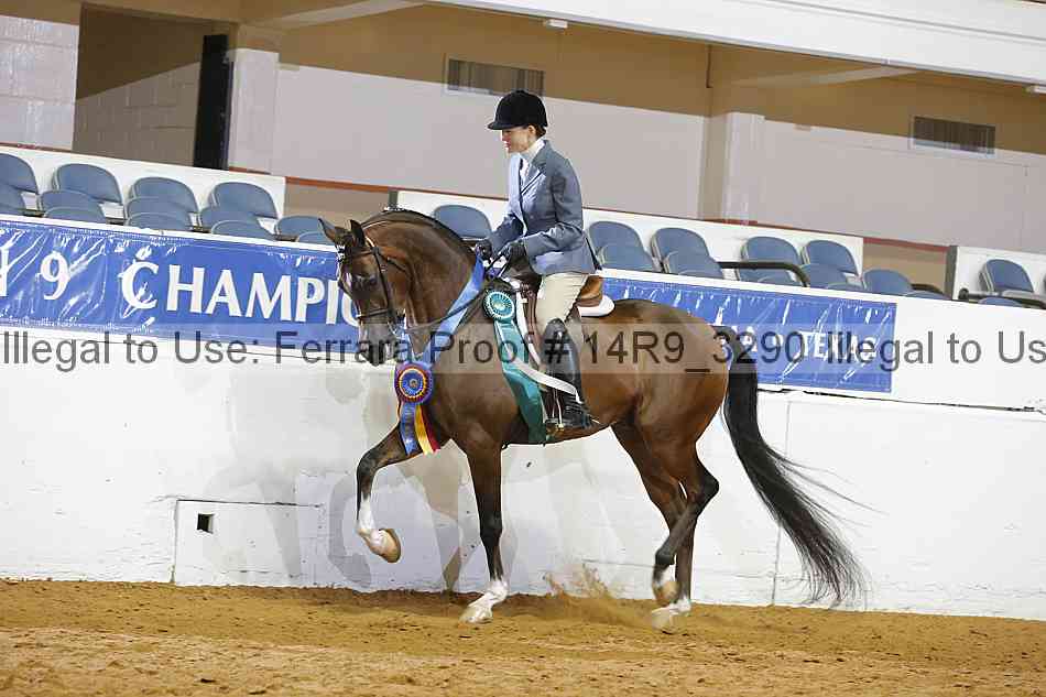Proof 14r9_3290