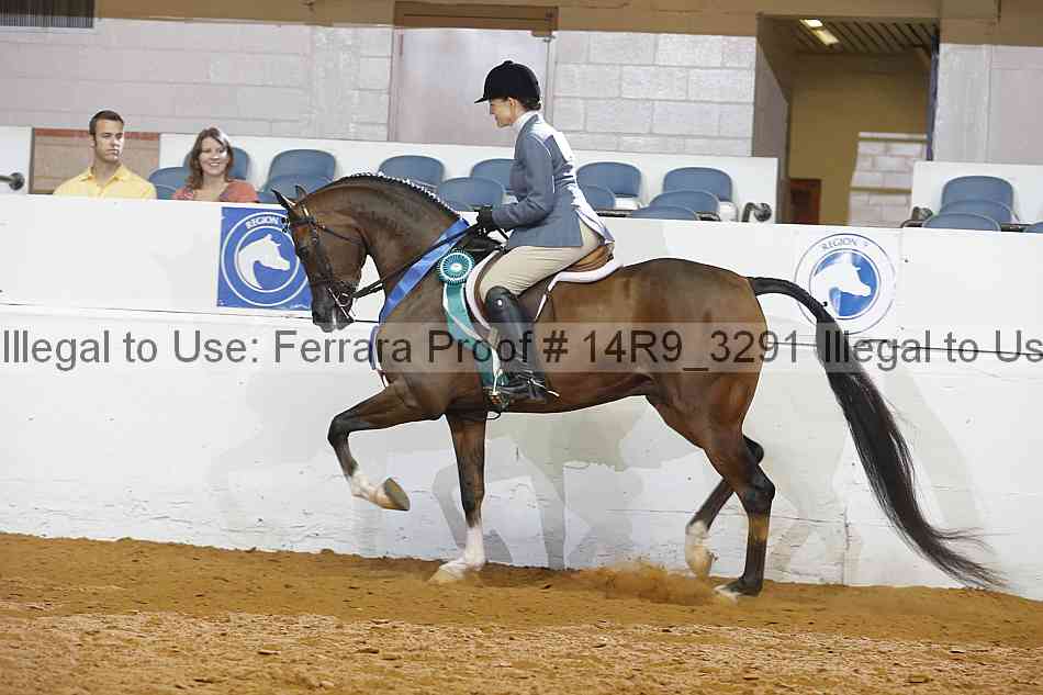 Proof 14r9_3291
