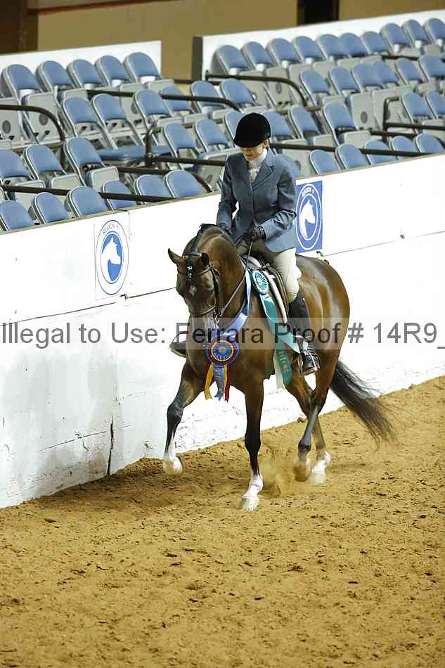 Proof 14r9_3292