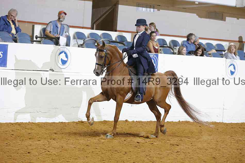 Proof 14r9_3294