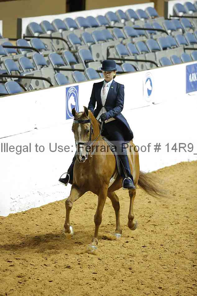 Proof 14r9_3296