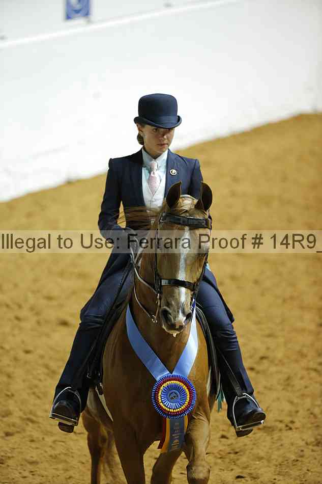 Proof 14r9_3301
