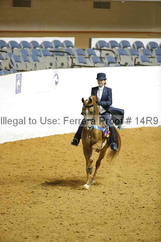 Proof 14r9_3306