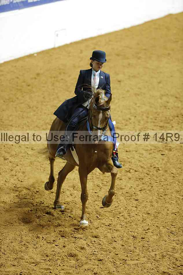 Proof 14r9_3307