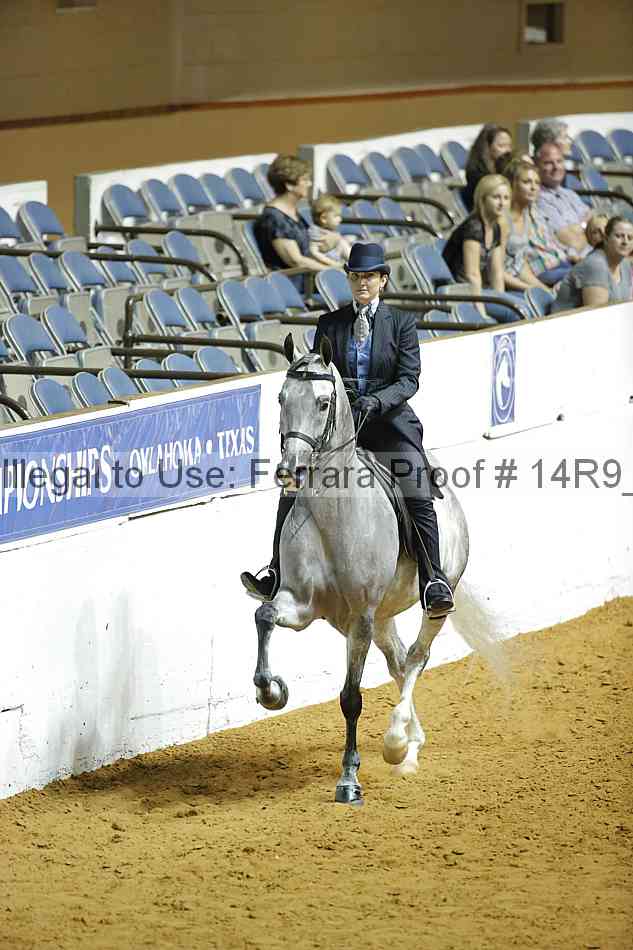 Proof 14r9_3314