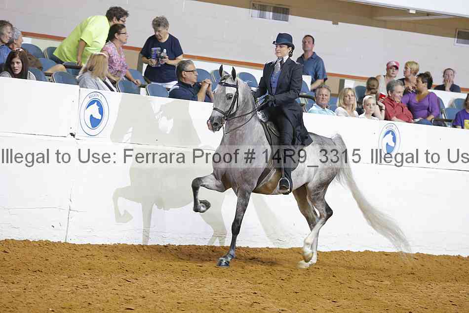 Proof 14r9_3315