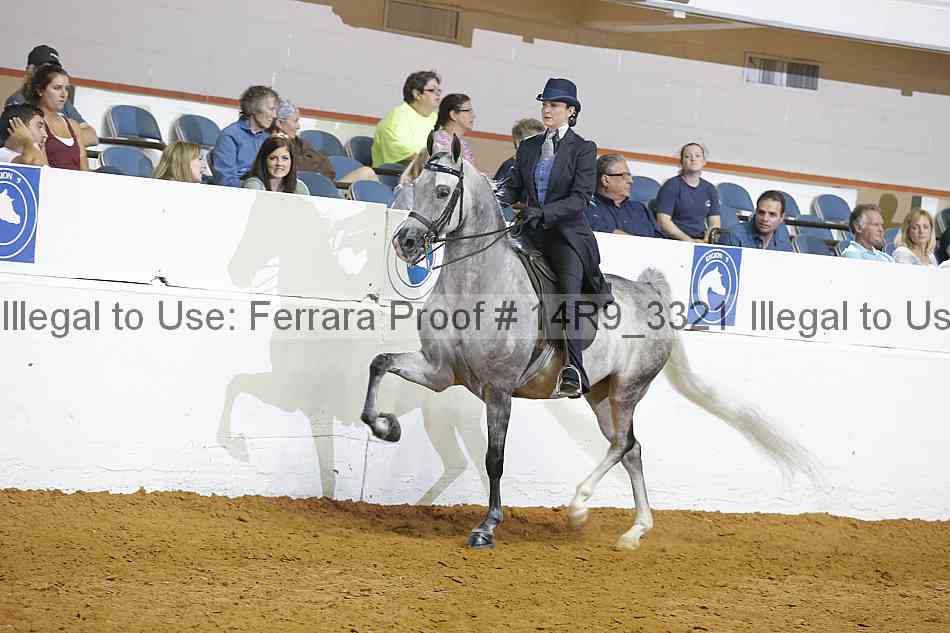 Proof 14r9_3321
