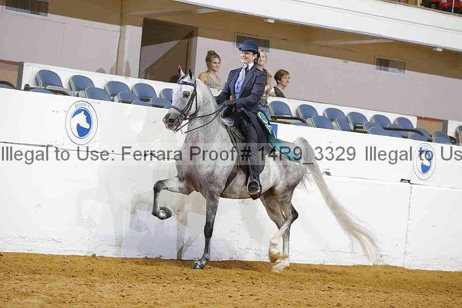 Proof 14r9_3329