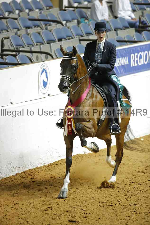 Proof 14r9_3339