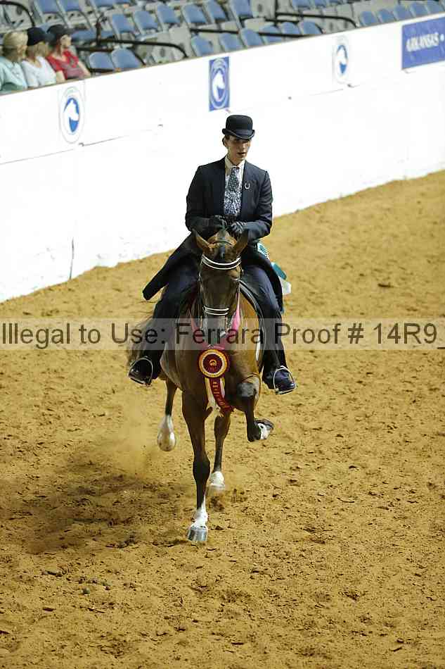 Proof 14r9_3340
