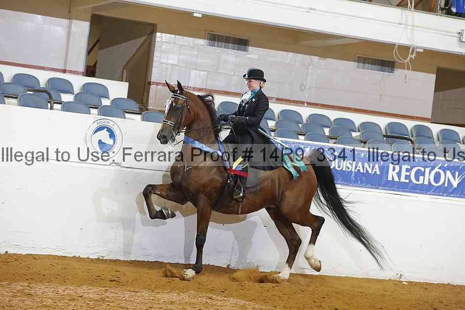 Proof 14r9_3341