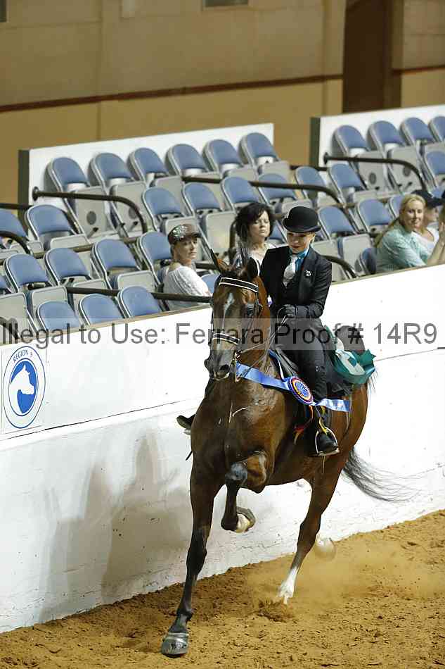 Proof 14r9_3343