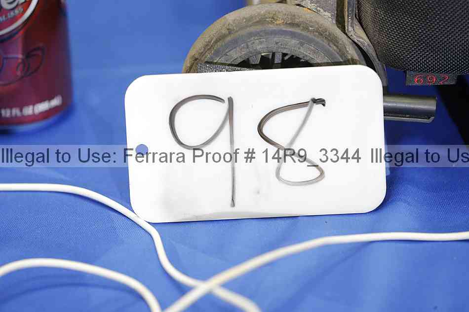 Proof 14r9_3344