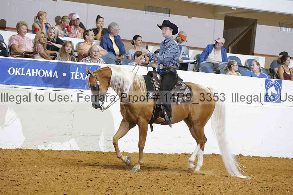 Proof 14r9_3353