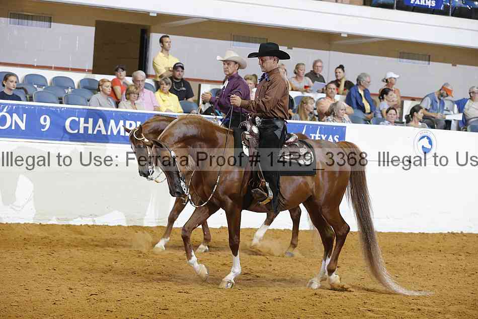 Proof 14r9_3368