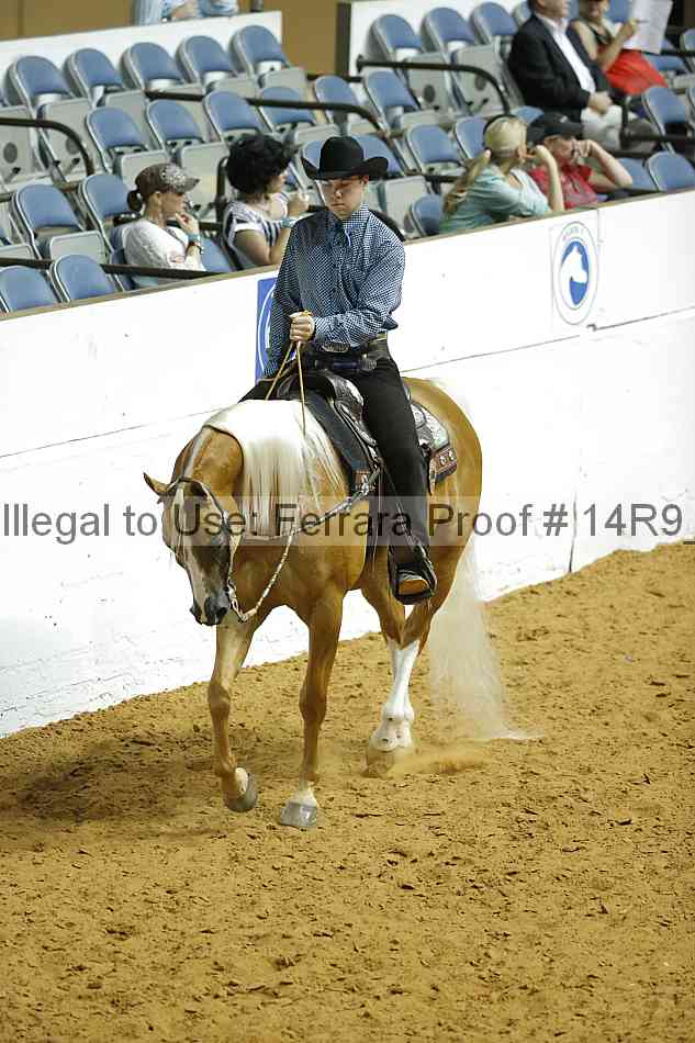 Proof 14r9_3369