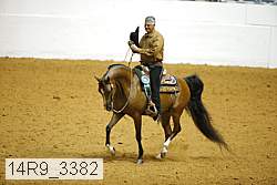 14r9_3382 proof