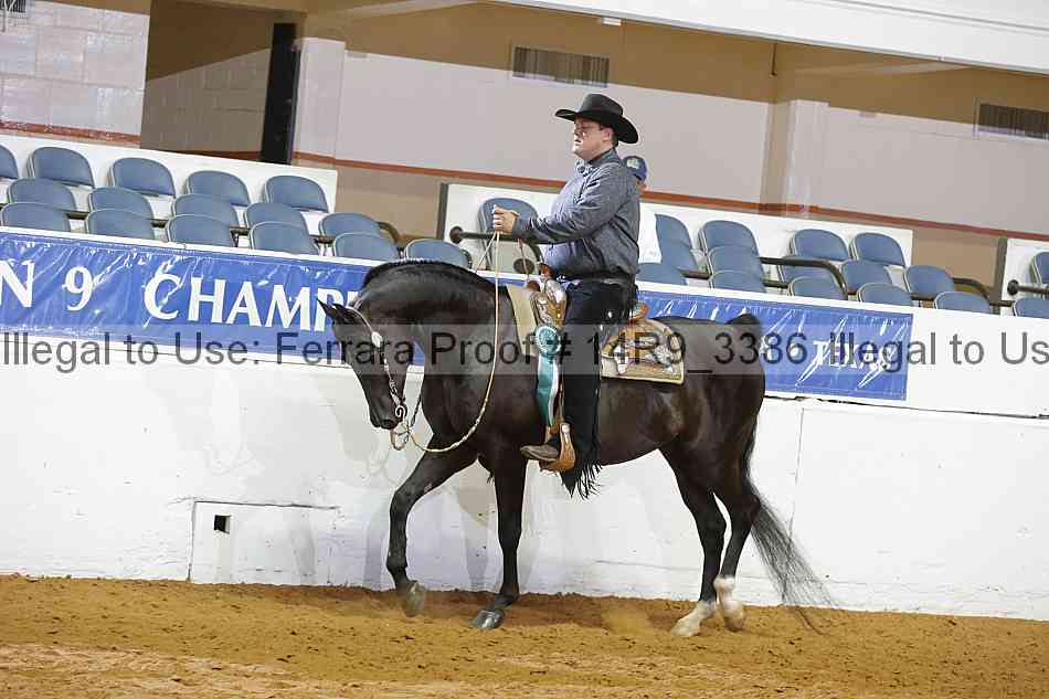 Proof 14r9_3386