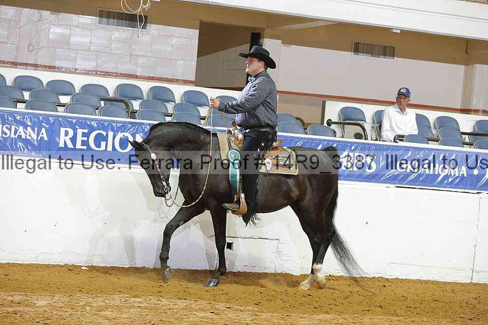 Proof 14r9_3387