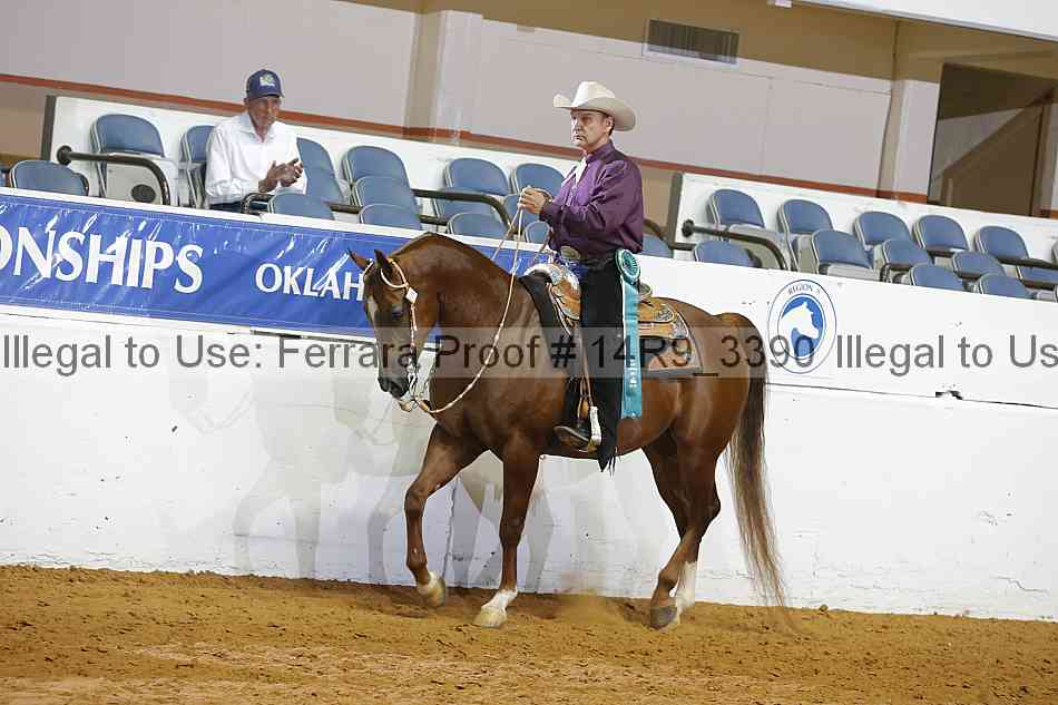 Proof 14r9_3390