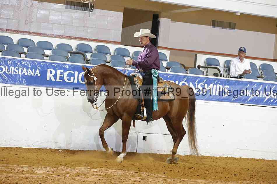 Proof 14r9_3391