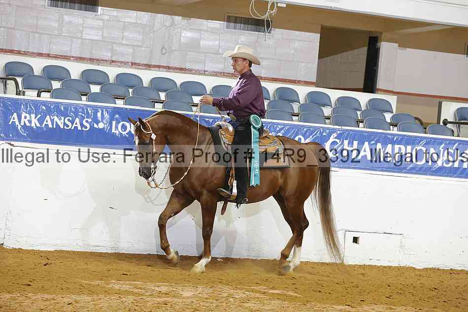 Proof 14r9_3392