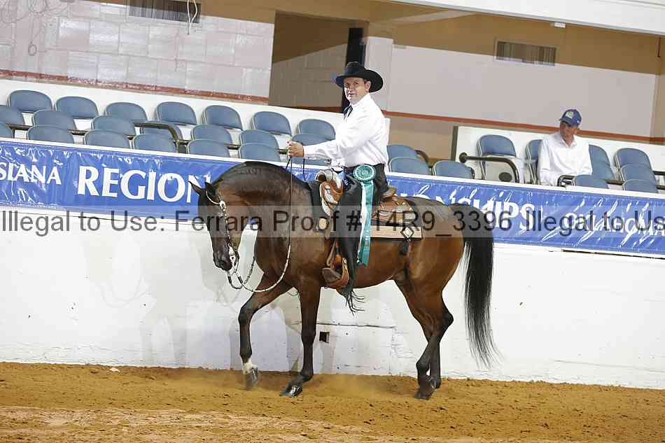 Proof 14r9_3396