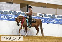 14r9_3401 proof