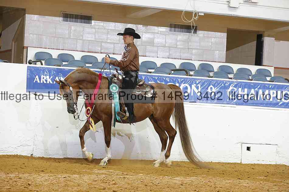 Proof 14r9_3402