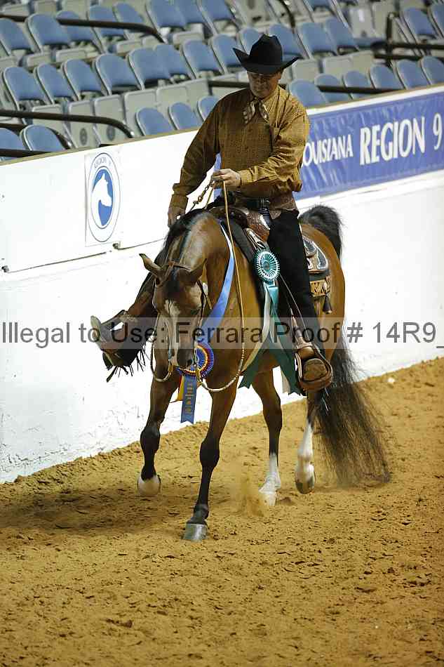 Proof 14r9_3408