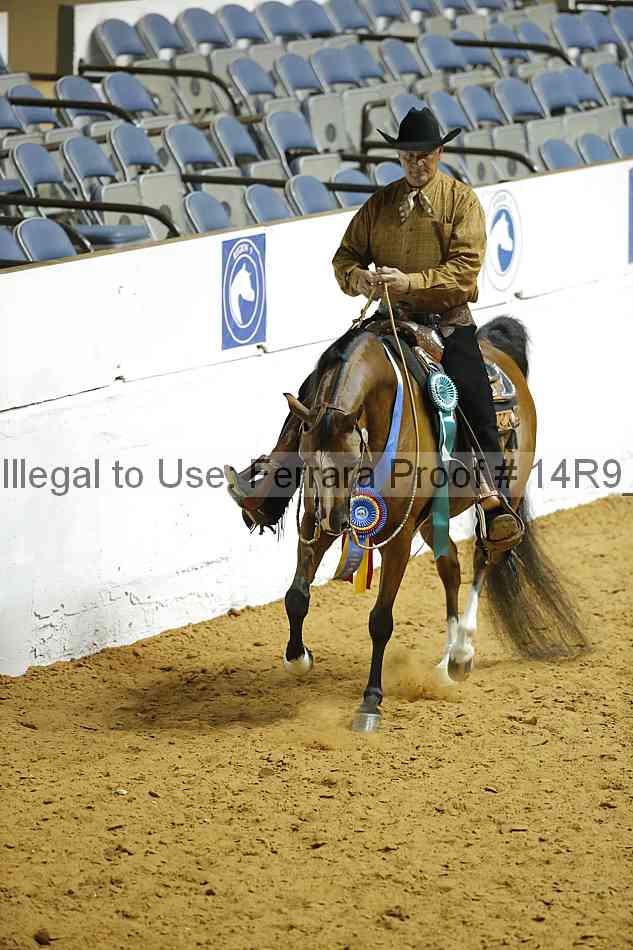 Proof 14r9_3409