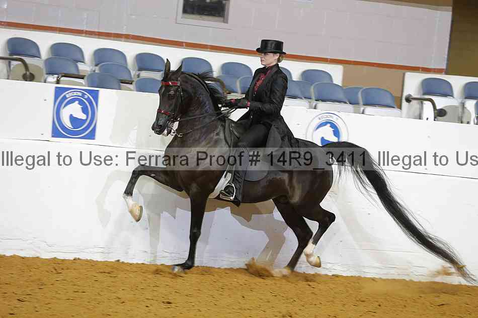 Proof 14r9_3411