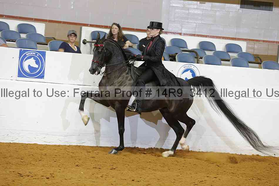 Proof 14r9_3412