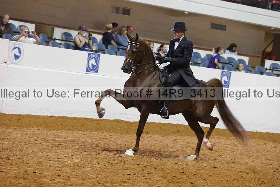 Proof 14r9_3413