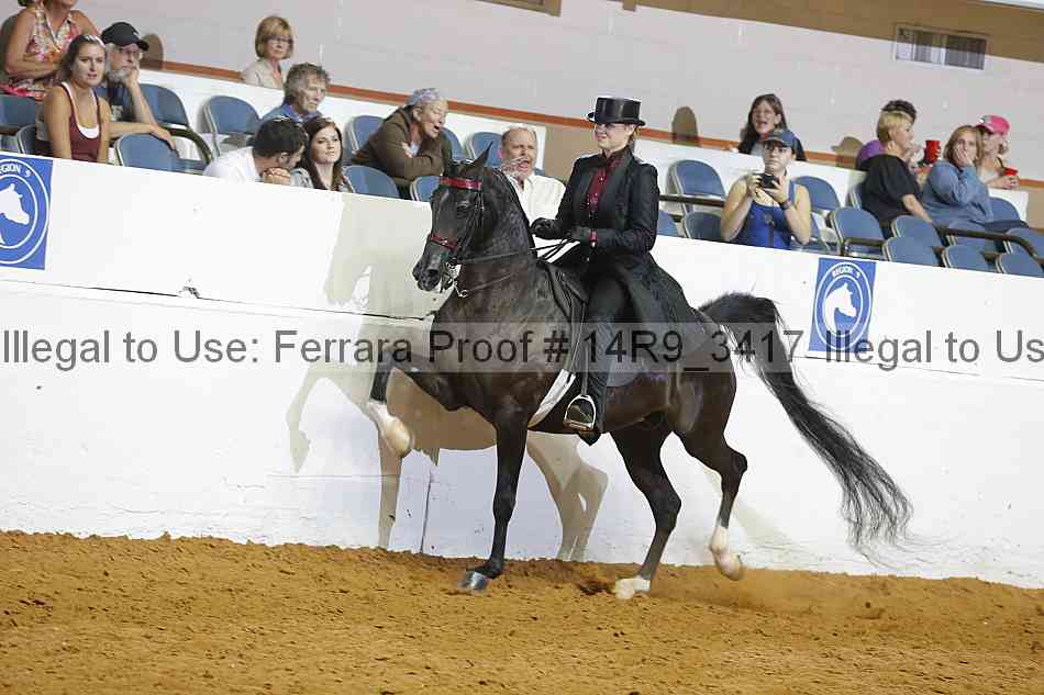 Proof 14r9_3417