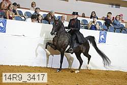 14r9_3417 proof