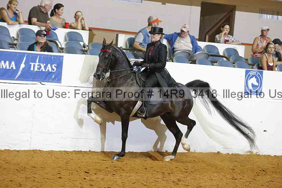 Proof 14r9_3418