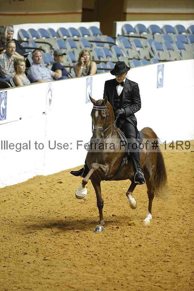 Proof 14r9_3419