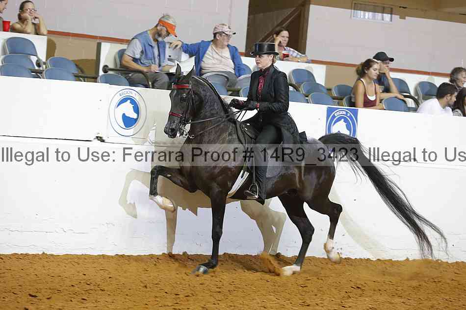 Proof 14r9_3423